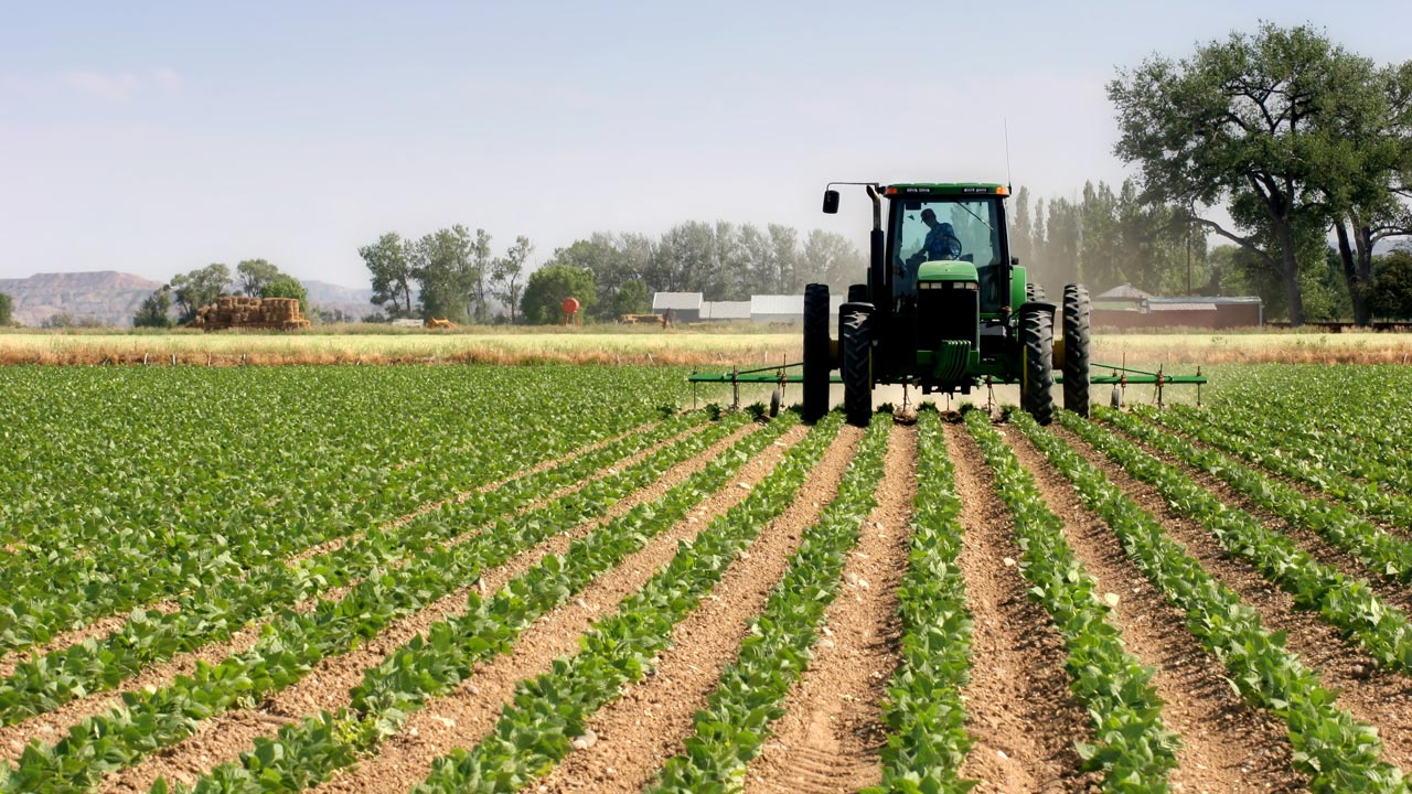 10 razones importancia de la agricultura